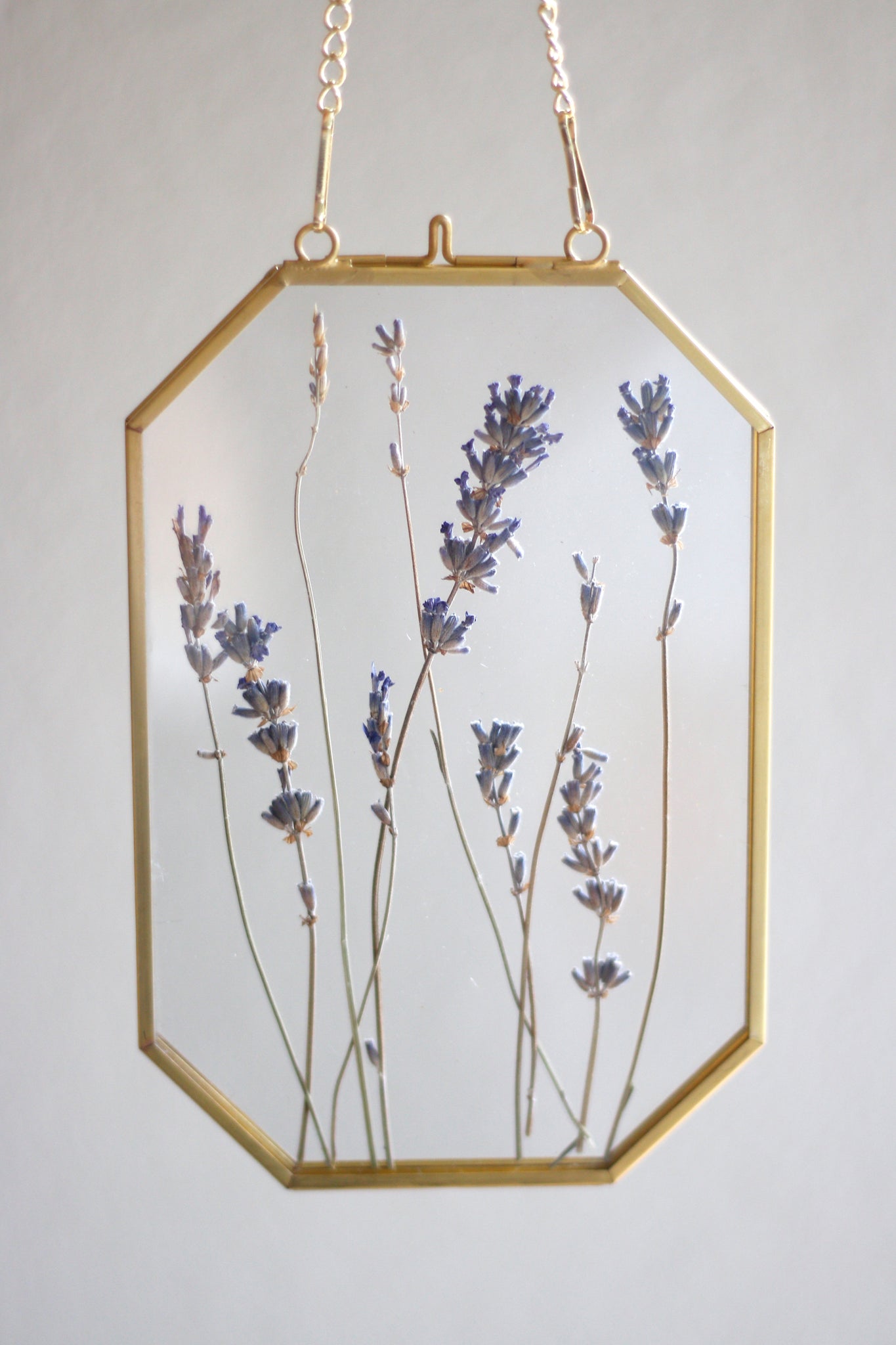 Pressed Flower Frames – From Flour