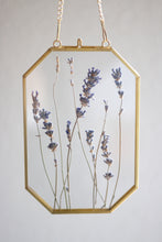 Load image into Gallery viewer, Pressed Flower Frames
