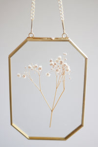 Pressed Flower Frames